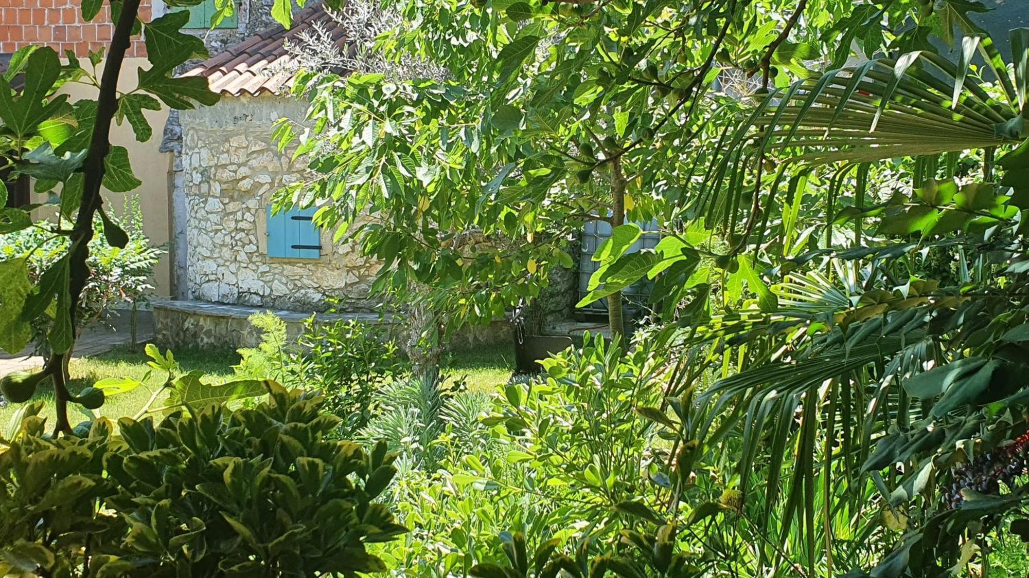 Villa Kazun With Private Pool And Two Gardens Marčana Esterno foto